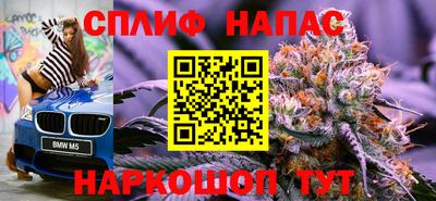 прущие грибы Гатчина