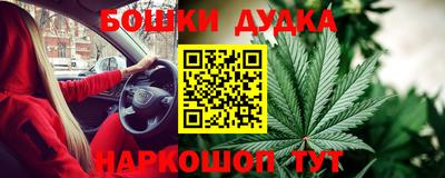 эйфоретик Гай