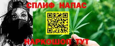 прущие грибы Гатчина