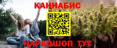прущие грибы Гатчина