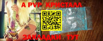 прущие грибы Гатчина