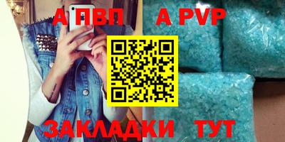 прущие грибы Гатчина