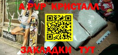 прущие грибы Гатчина