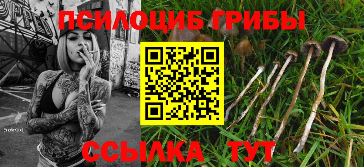 Псилоцибиновые грибы Magic Shrooms  Вход с VPN  Малоярославец 